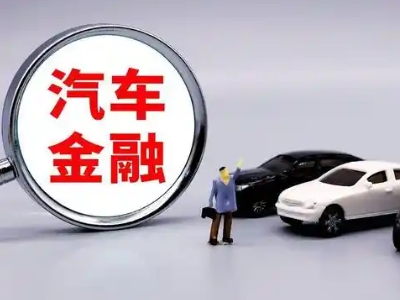 金阳押车贷款不是本人可以么?